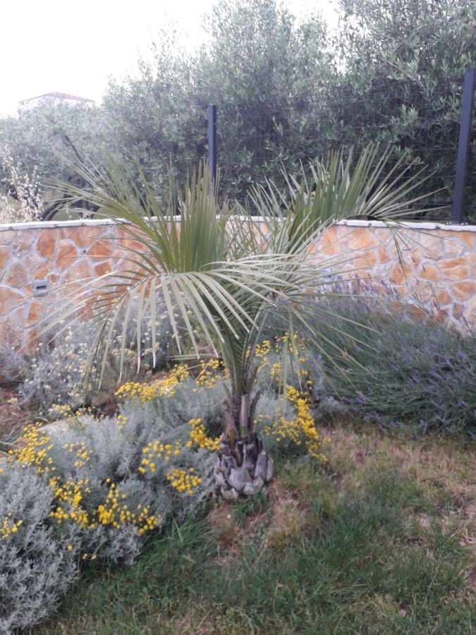 Appartement Palm Paradise à Stobreč Extérieur photo