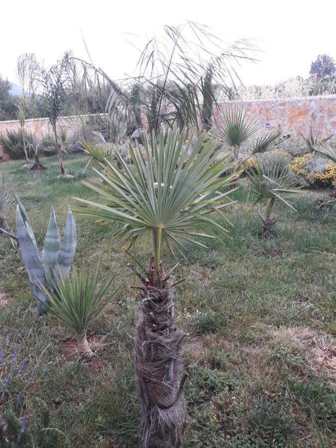 Appartement Palm Paradise à Stobreč Extérieur photo